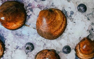 Anno nuovo, linea nuova: come dimagrire con gusto grazie ai molluschi