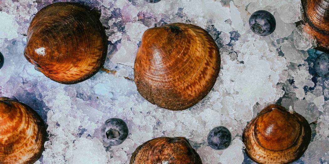 Anno nuovo, linea nuova: come dimagrire con gusto grazie ai molluschi